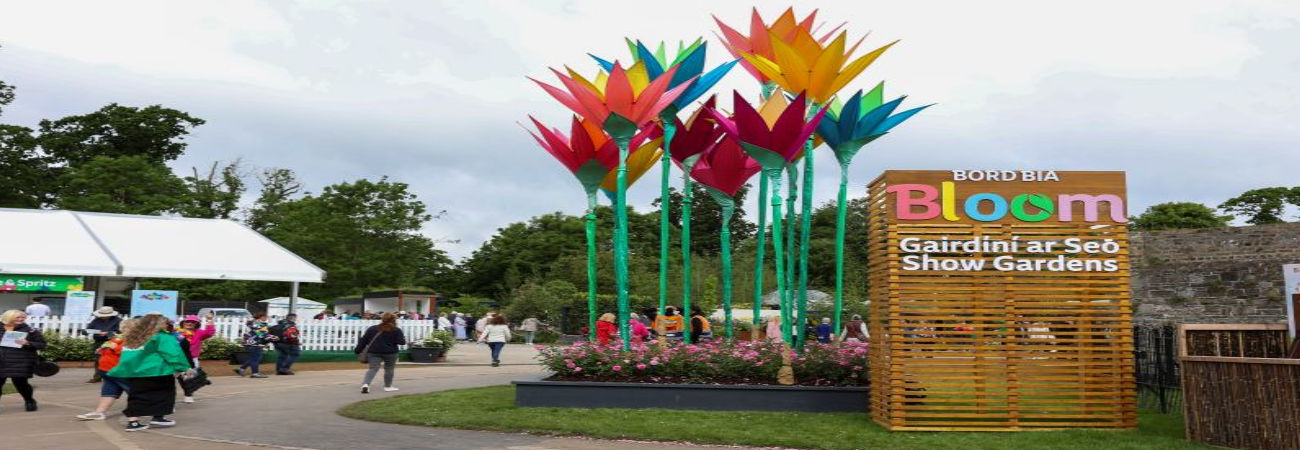 Bord Bia Bloom