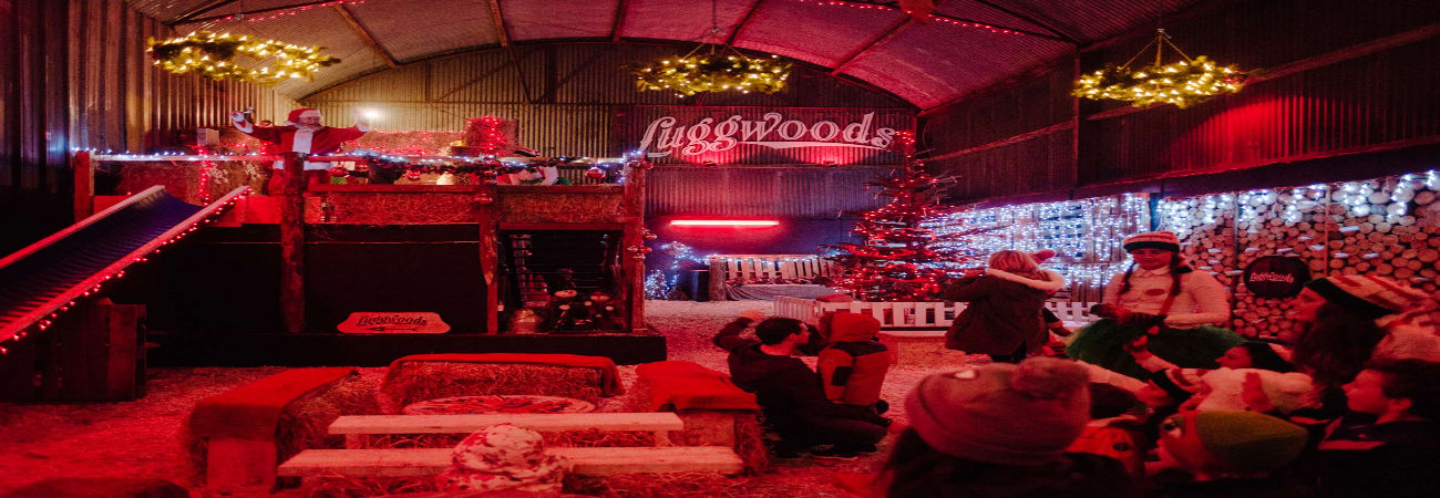  Luggwoods – Lapland in the Dublin Mountains